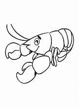 Cute Crawfish Coloring Page  Free Printable Pages sketch template