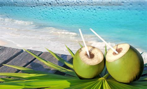 5 Powerful Benefits of Drinking Tender Coconut Water