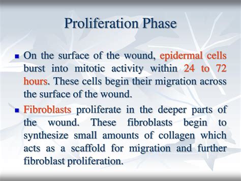 PPT - Wound healing PowerPoint Presentation - ID:331421