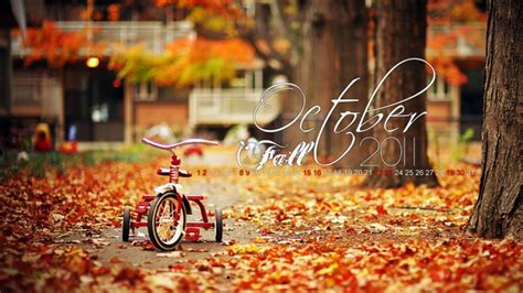 Best Screen October Pumpkin Wallpaper October Fall - Label - 3126x5559 ...