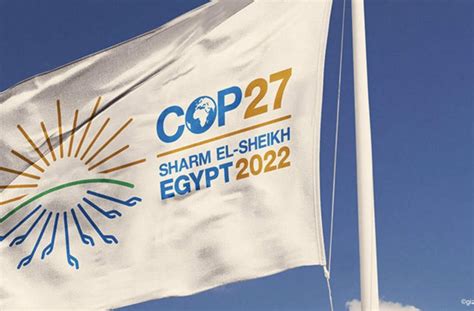 UAE backs Egypt on effective execution of climate action at COP27 ...