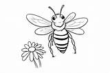 Bee Coloring Pages Drawing For Kids Gráfico Por MyCreativeLife  sketch template