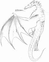 Wyvern Dragon Coloring Pages sketch template