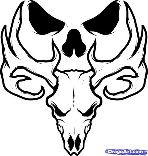Deer Head Outline Drawing at GetDrawings | Free download