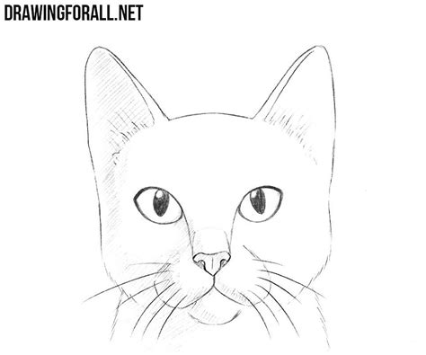 How to draw a cat face and silhouette with easy step by step tutorials