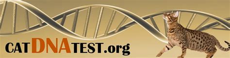 catDNAtest.org: DNA Testing for Cats - Available Tests