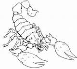 Free Printable Scorpion Coloring Pages For Kids sketch template