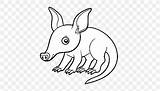 Anteater Coloring Aardvark Pages Printable Drawing Animal Color  sketch template
