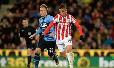 Ibrahim Afellay ruled out long term after Stoke midfielder suffers 'serious knee injury' in ...