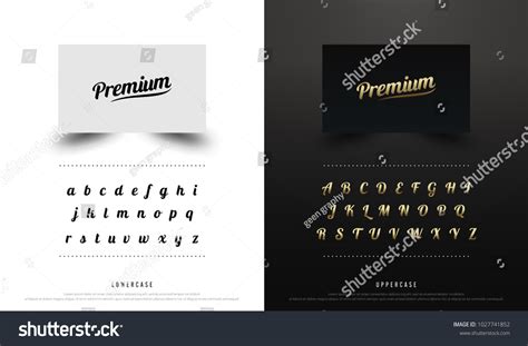 Calligraphic Alphabet Uppercase Lowercase Font Typography Stock Vector ...