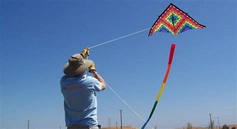 Fun Facts About Kites | The Fact Site