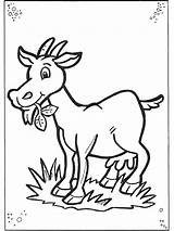Goat Coloring Pages sketch template