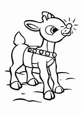 Simple coloring Of Santas Reindeer Rudolph  Christmas Kids Coloring Pages sketch template
