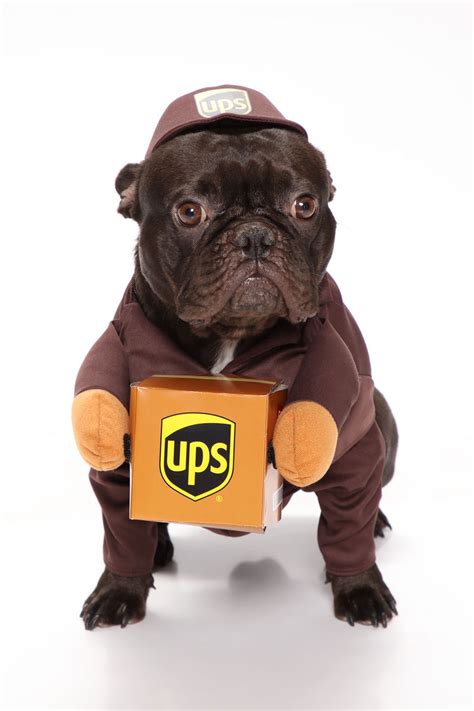 UPS Dog Costume | mail.napmexico.com.mx