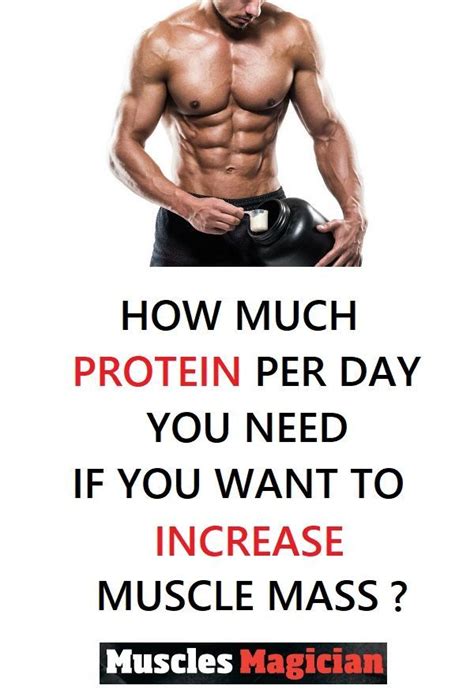 Find out how much protein per day you need if you want to increase ...