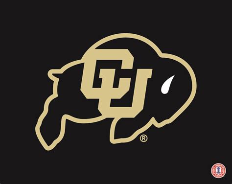 Colorado Buffaloes mascot logo | Favorite Places & Spaces | Pinterest