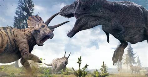 Pin by Matheo Becker on Peleas de Dinosaurios | Dinosaur pictures, Dinosaur fight, Prehistoric ...