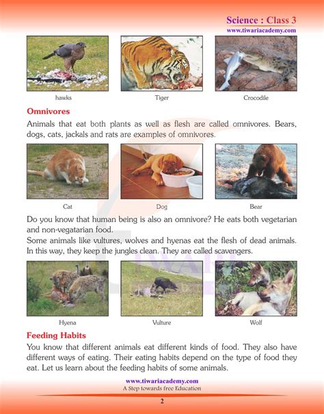 Top 159 + Animals and their food habits chart - Inoticia.net