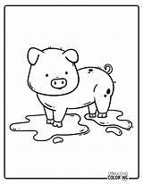 Pig Coloring Pages Free PDF Printables  Simply Love sketch template