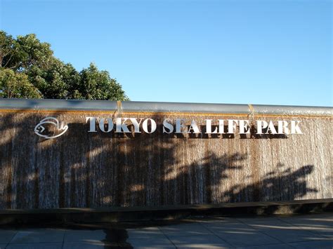 Tokyo Sea Life Park | Next Stop, Japan