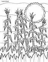 Corn Field Coloring Pages sketch template