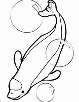 Beluga Whale Coloring Page At GetColoringscom  Free Printable sketch template
