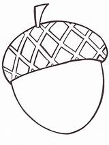 Acorn Coloring Pages  Free Printable Coloring For Kids sketch template