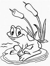 Pond Coloring Pages Printable Sketch Page sketch template