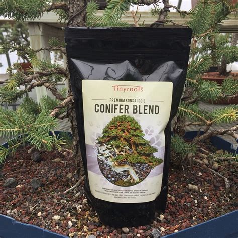 Bonsai Tree Soil Conifer Blend. Comes in 2 Quarts 4 Quarts | Etsy