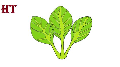 Spinach Drawing easy for Beginners || How to draw Vegetables Step by Step | Easy drawings, Step ...