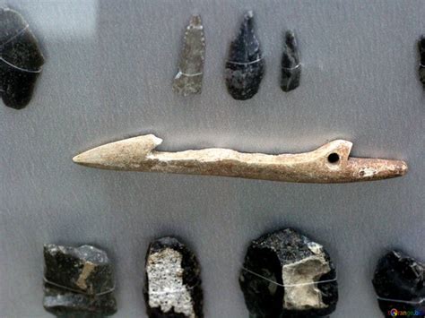 Changes in Stone tools used by Mesolithic hunter-gatherers linked to climate change