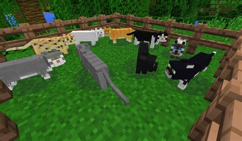 Image - Cat audrey.jpg | Minecraft Wiki | FANDOM powered by Wikia