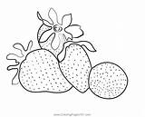 Fresh Strawberry Pie Coloring Page For Kids  Free Printable sketch template