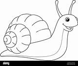 Snail Animal Coloring Page For Kids Stock Vector Image & Art  Alamy sketch template