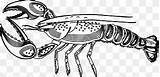 Free Download  Larry The Lobster Coloring book trap American sketch template