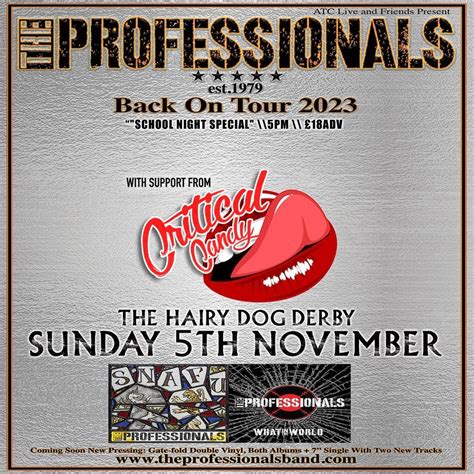 The Professionals , The Hairy Dog, Derby, November 5 2023 | AllEvents.in