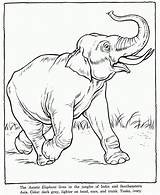 Free Printable Elephant Coloring Pages For Kids sketch template
