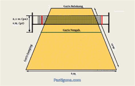 Gambar Lapangan Bola Voli Beserta Ukurannya Lengkap – serat