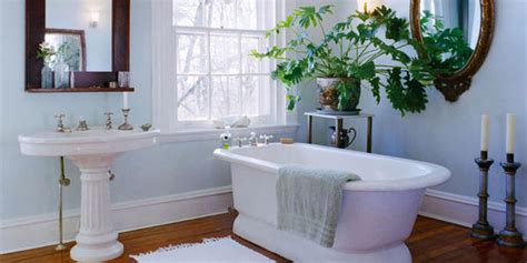 Feng Shui Bathroom Plants for Health, Wealth & Luck