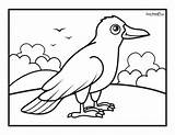 Flying Crow Coloring Pages sketch template