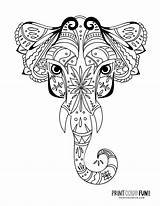 8 elephant Adult coloring Pages That Are Decorative & Detailed At  sketch template