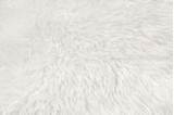 Seamless Wolf Fur Texture sketch template