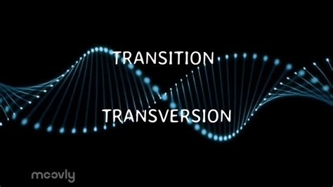 DNA Mutation: Transition, Transversion and Its Outcomes - YouTube