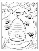 70  Desenhos De abelhas Para Colorir Crianças E Adultos PDFs sketch template