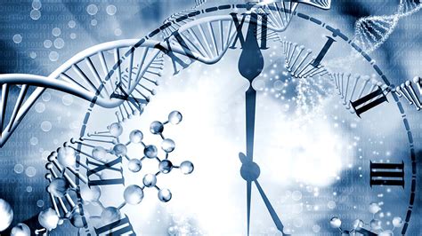 The Hannum Epigenetic Clock Measures Biomarkers of Aging | Thrivous®