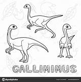 Gallimimus Coloring Pages sketch template