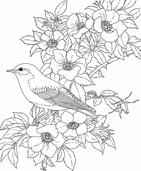 44+ Free Coloring Pages Birds And Flowers | Free Wallpaper