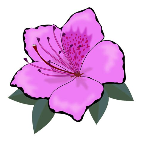 Hibiscus Png Clip Art Image Flower Drawing Flower Art Flower Clipart ...