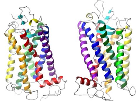 The crystal structure of Bovine-Rhodopsin as described by Palczewski et... | Download Scientific ...