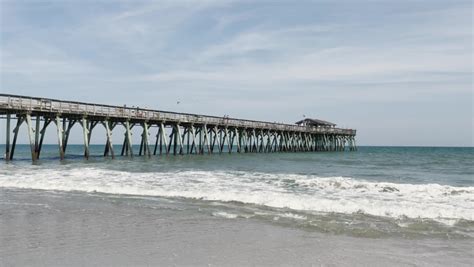 Myrtle beach state park Stock Video Footage - 4K and HD Video Clips | Shutterstock